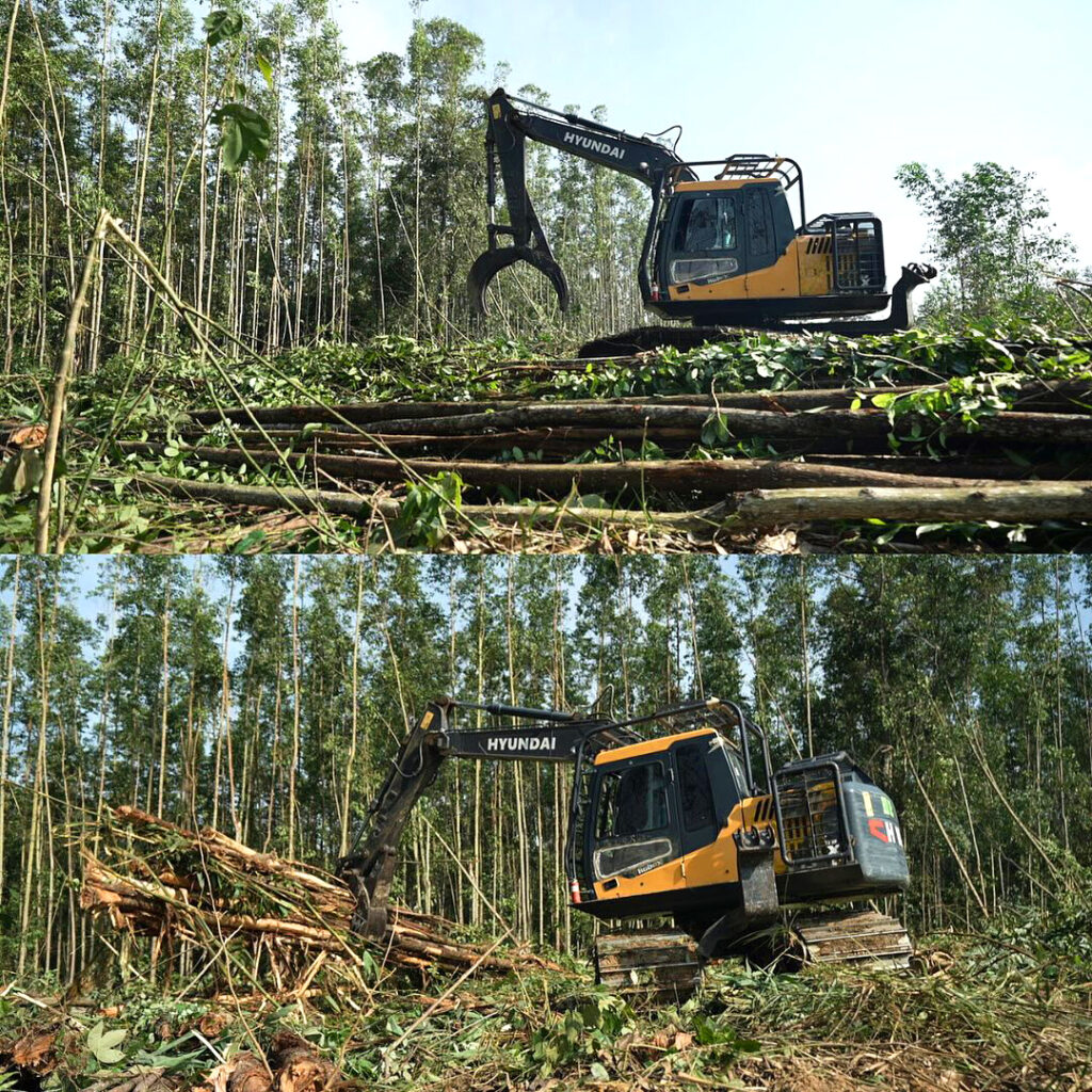 Hyundai R130F Excavator 2025: Solusi Terdepan Untuk Industri Agro ...